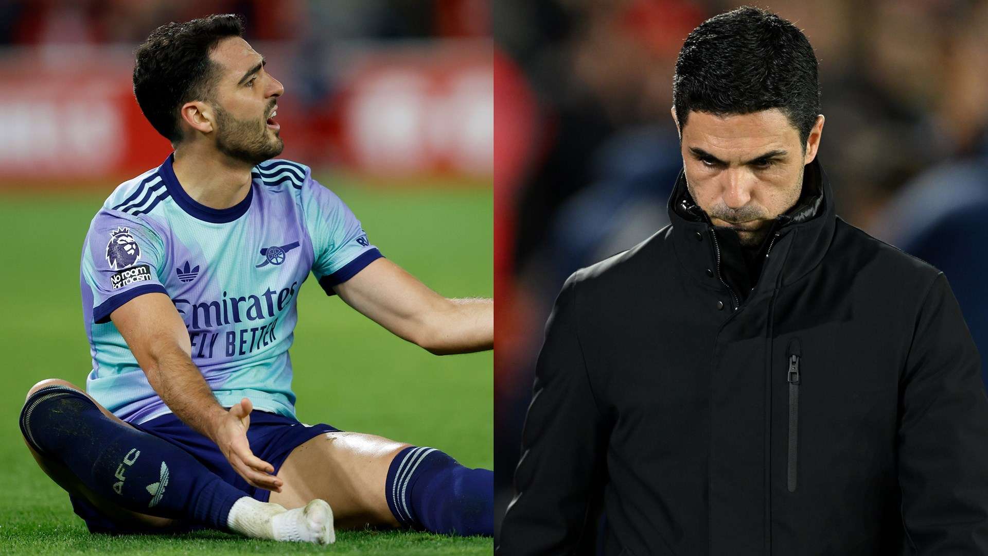 的蓬勃力量 的蓬勃力量